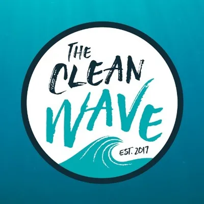 thecleanwave.org's icon