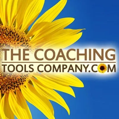 thecoachingtoolscompany.com's icon