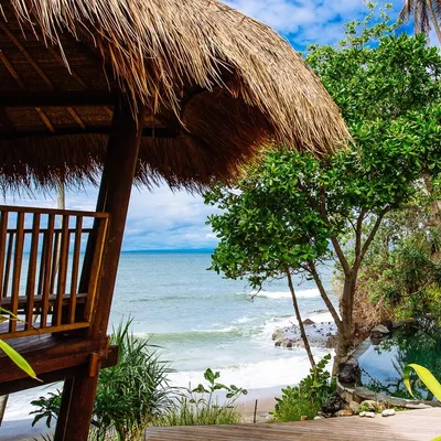 thecovebali.com's icon