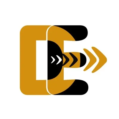 thedirectengineers.com's icon