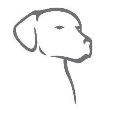 thedogs.com's icon