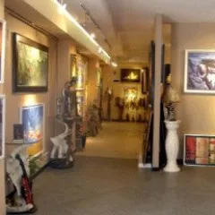 thedolphingallery.com's icon