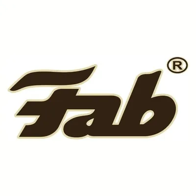 thefab.lk's icon