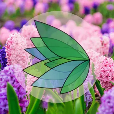 thehappycannaco.com's icon