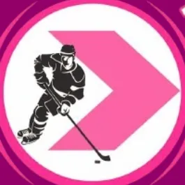 thehockeyconnection.com's icon