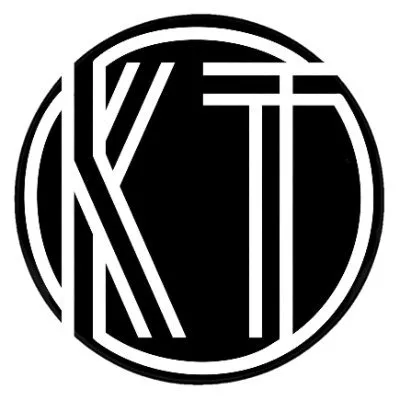 thekimturner.com's icon