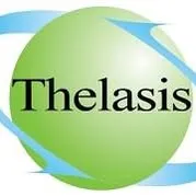 thelasis.com's icon