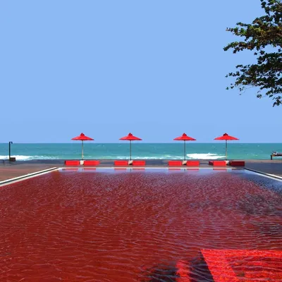 thelibrarysamui.com's icon