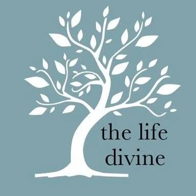 thelifedivine.com's icon
