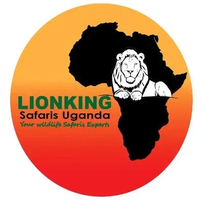 thelionkingsafaris.com's icon