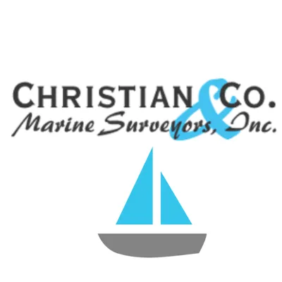 themarinesurveyors.com's icon