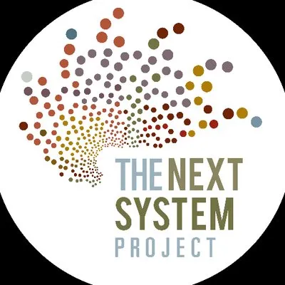 thenextsystem.org's icon