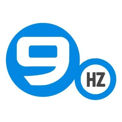 theninehertz.com's icon