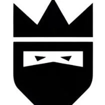 theninjaking.com's icon