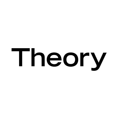theory.com's icon