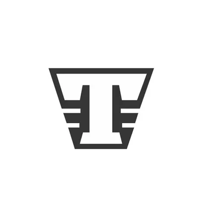 theoryskate.com's icon