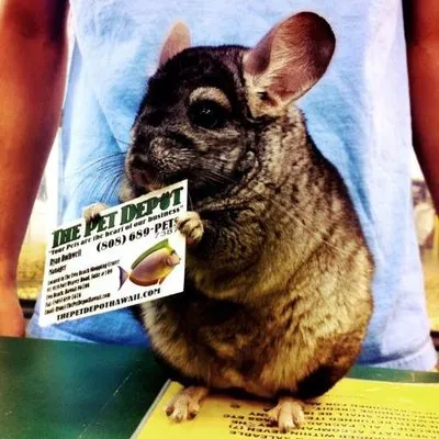 thepetdepothawaii.com's icon