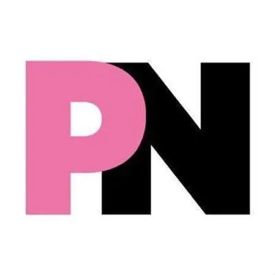 thepinknews.com logo
