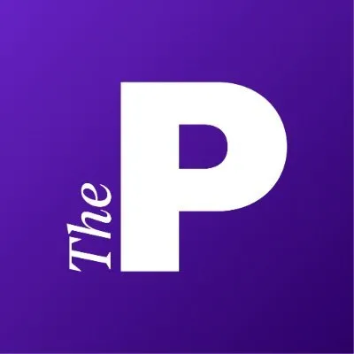 thepioneer.de's icon