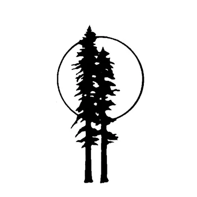 thepointresort.com's icon