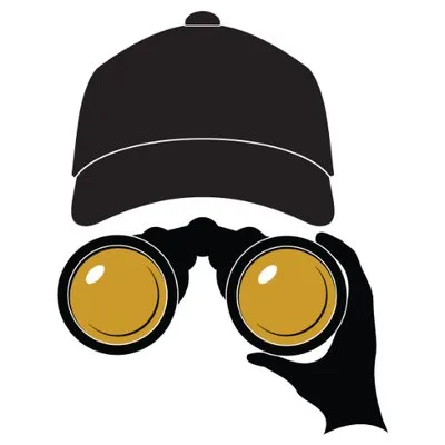 thepressboxlts.com's icon
