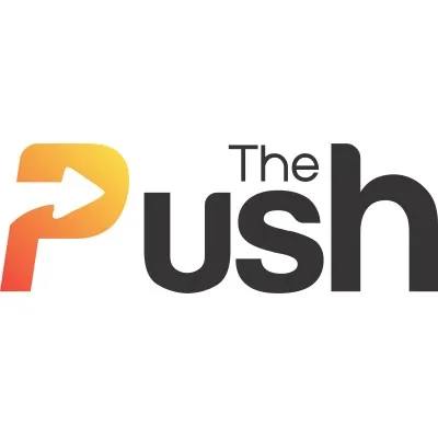 thepush.ng's icon