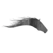 theroaminghorse.com's icon