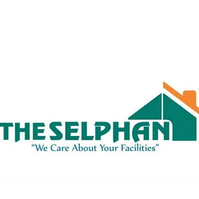 theselphan.com's icon