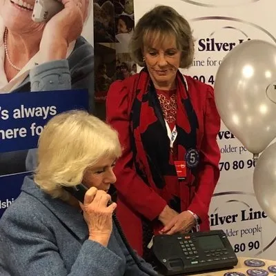 thesilverline.org.uk's icon