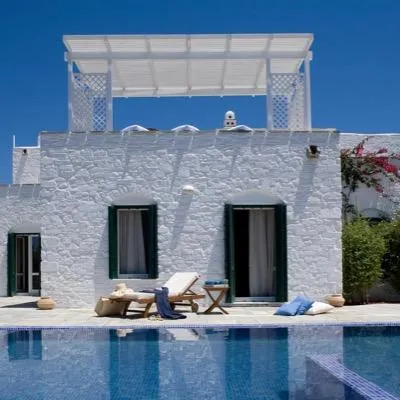 thesmallhotels.com's icon