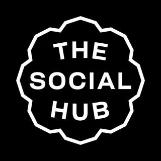thesocialhub.co's icon