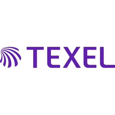 thetexelgroup.com's icon