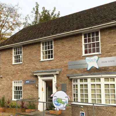 thethatchdental.co.uk's icon