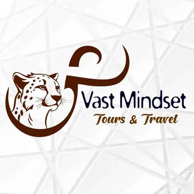 thevastmindset.com's icon