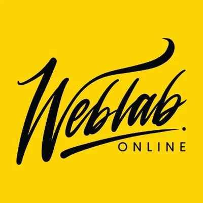 theweblab.co.za's icon