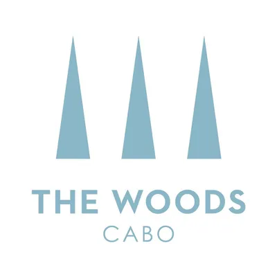 thewoodscabo.com's icon