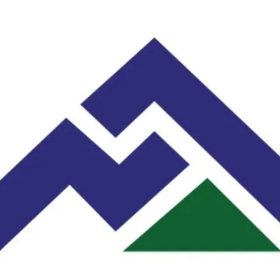thgadvisor.com's icon