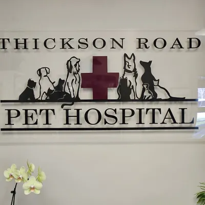 thicksonroadpethospital.com's icon