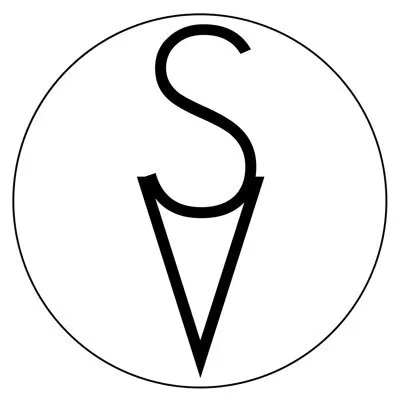 thissavoryvegan.com's icon