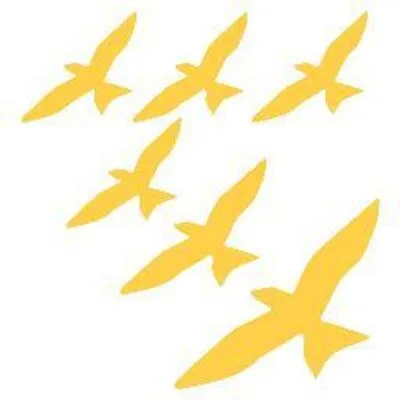 thjonandiforysta.is's icon