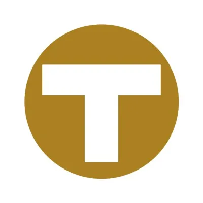 thomas-holding.com's icon