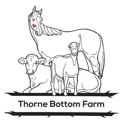 thornebottomfarm.com's icon