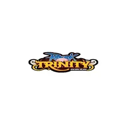 ti-server.com's icon