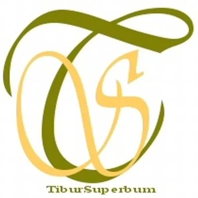 tibursuperbum.it's icon
