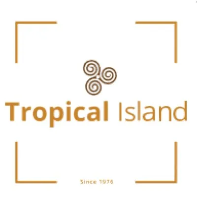 ticspice.com's icon