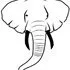 tidefans.com's icon