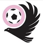 tifosipalermo.it's icon