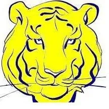 tigeroffshore.com's icon
