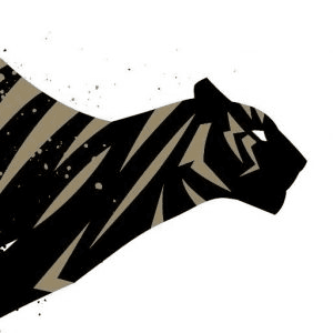 Tiger Sports