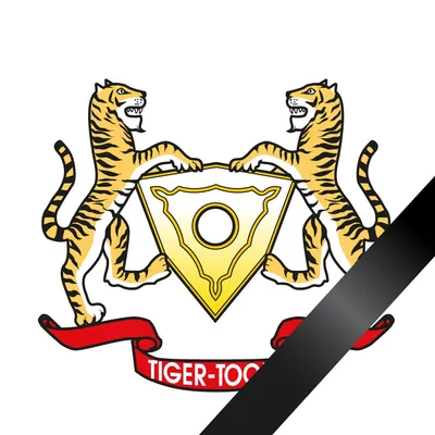 tigertools.hu's icon